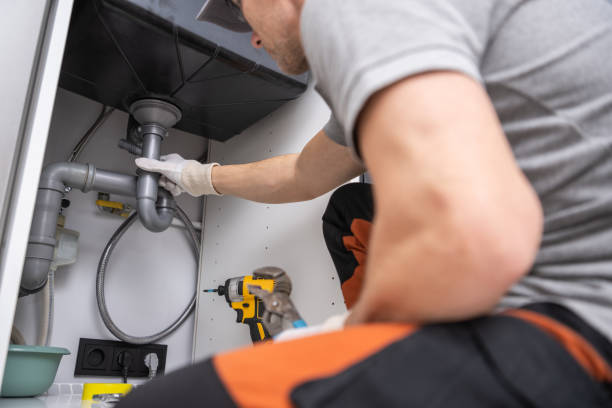 Best Leak Detection Services  in Wlow Springs, IL