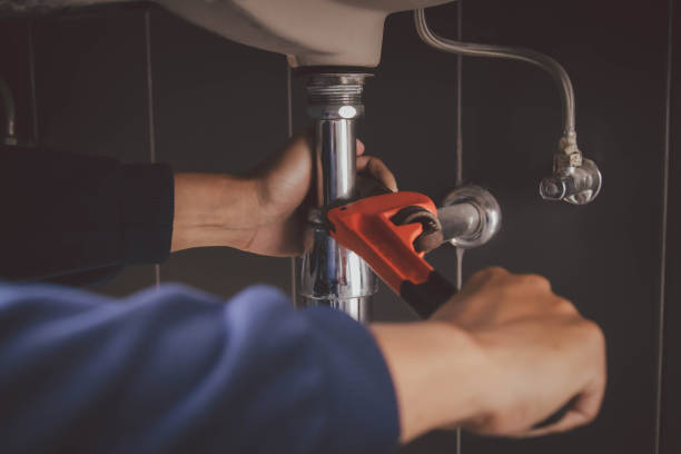 Best Clogged Drain Plumber  in Wlow Springs, IL