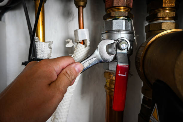 Best Commercial Plumbing Services  in Wlow Springs, IL